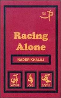 Racing Alone : Fire and Earth, A Visionary Architect's Passionate Quest